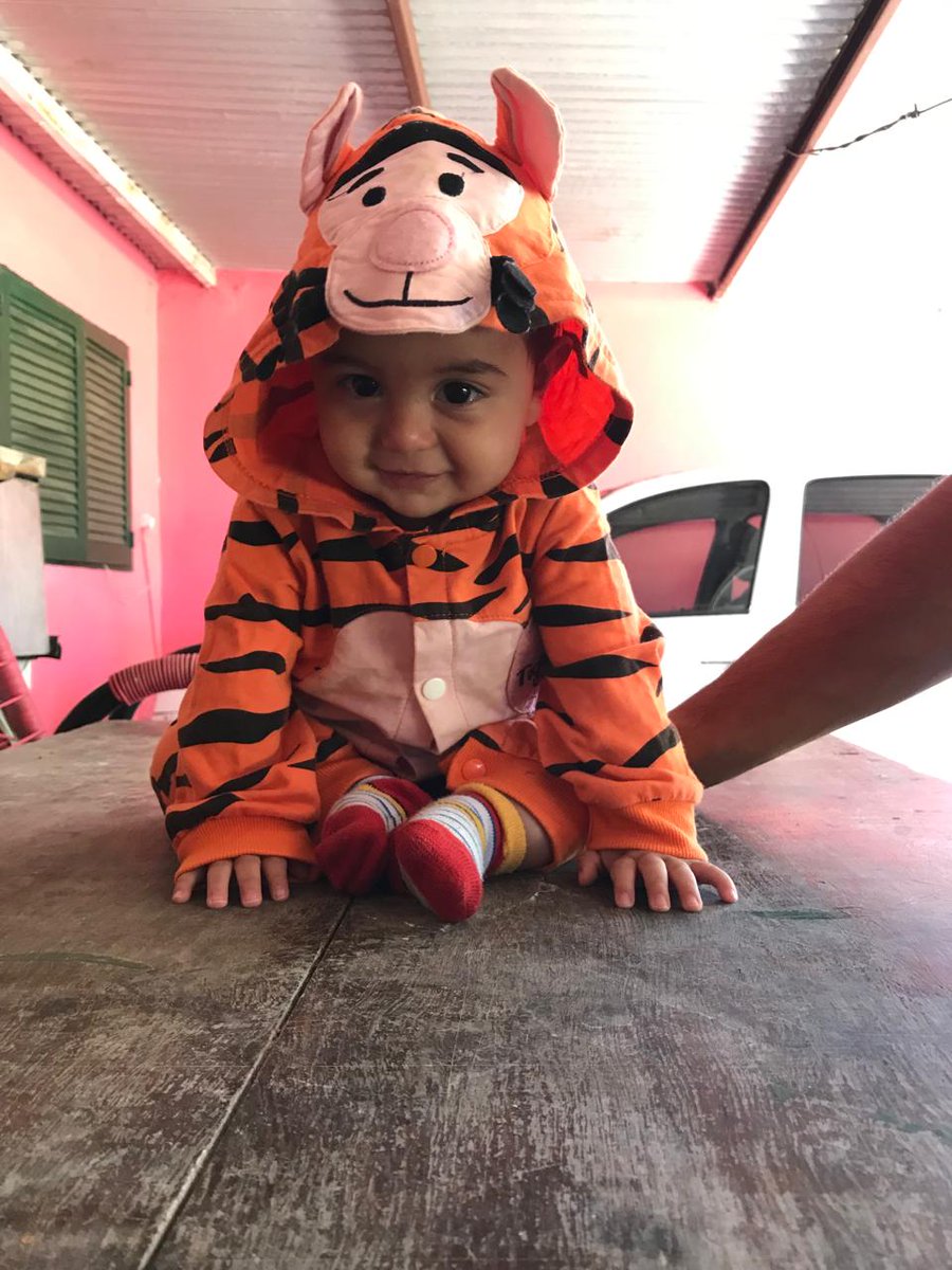 Permiso les voy a compartir a este Tigger bebé 🥰