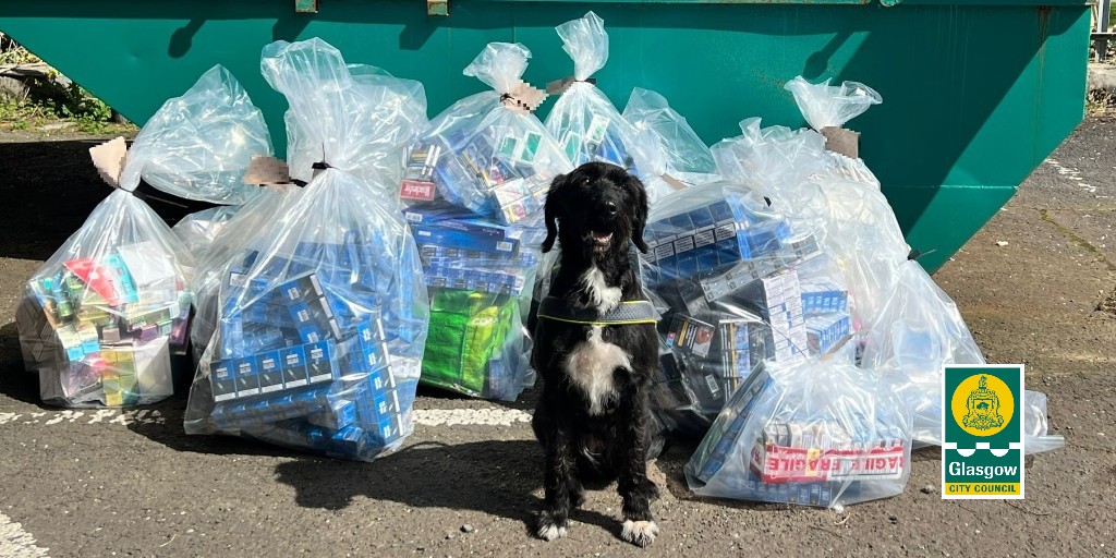 📢 Illegal vapes, illegally stored fireworks, 52,820 illicit cigarettes & 15kg of tobacco were seized from 3 East End shops yesterday. Our Trading Standards team carried out the operation with @socotss @ConsumerDogs, @PoliceScotland, @HMRCgovuk. Sniffer dog Boo with the haul👇