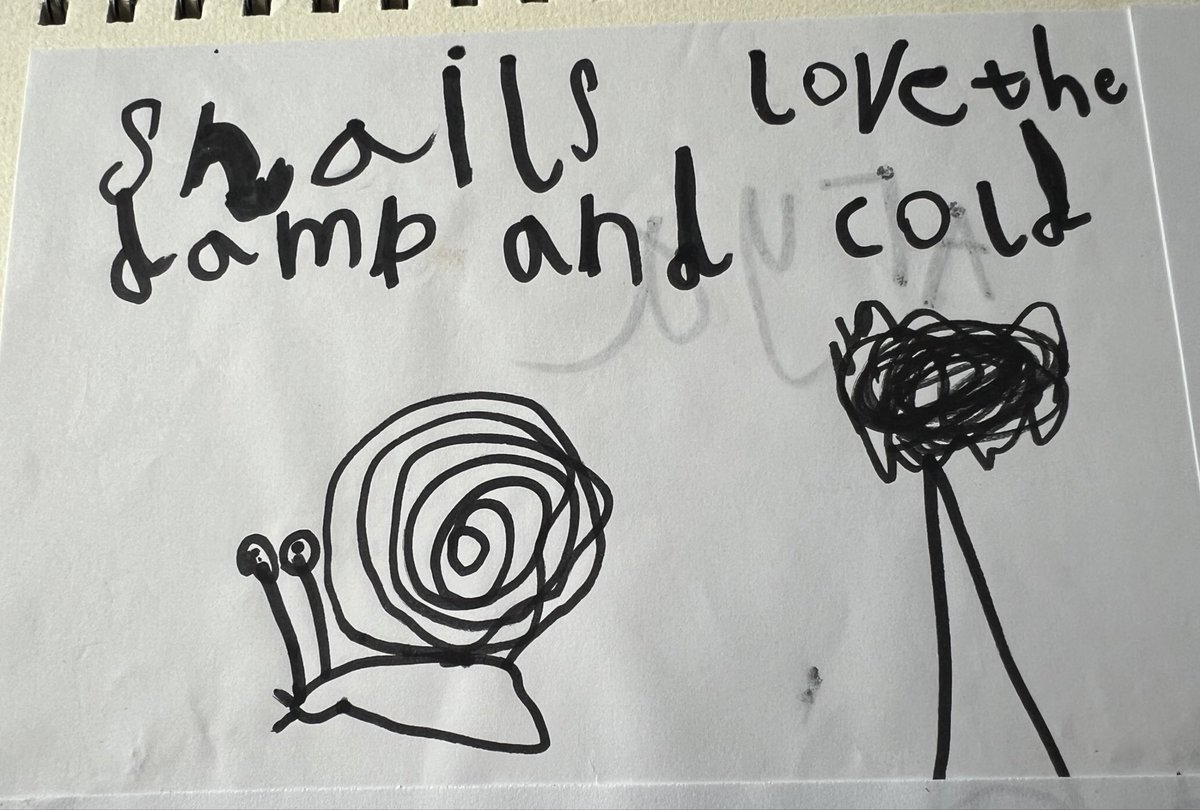 sbps_ducklings's tweet photo. We have loved learning about snails this week 🐌…
Do snails have teeth? 
Our reception children will be able to tell you (with great excitement), that they do. Thousands infact. #eyfs #sbpseyfs #sbpscience https://t.co/nDoPl0Q6kJ