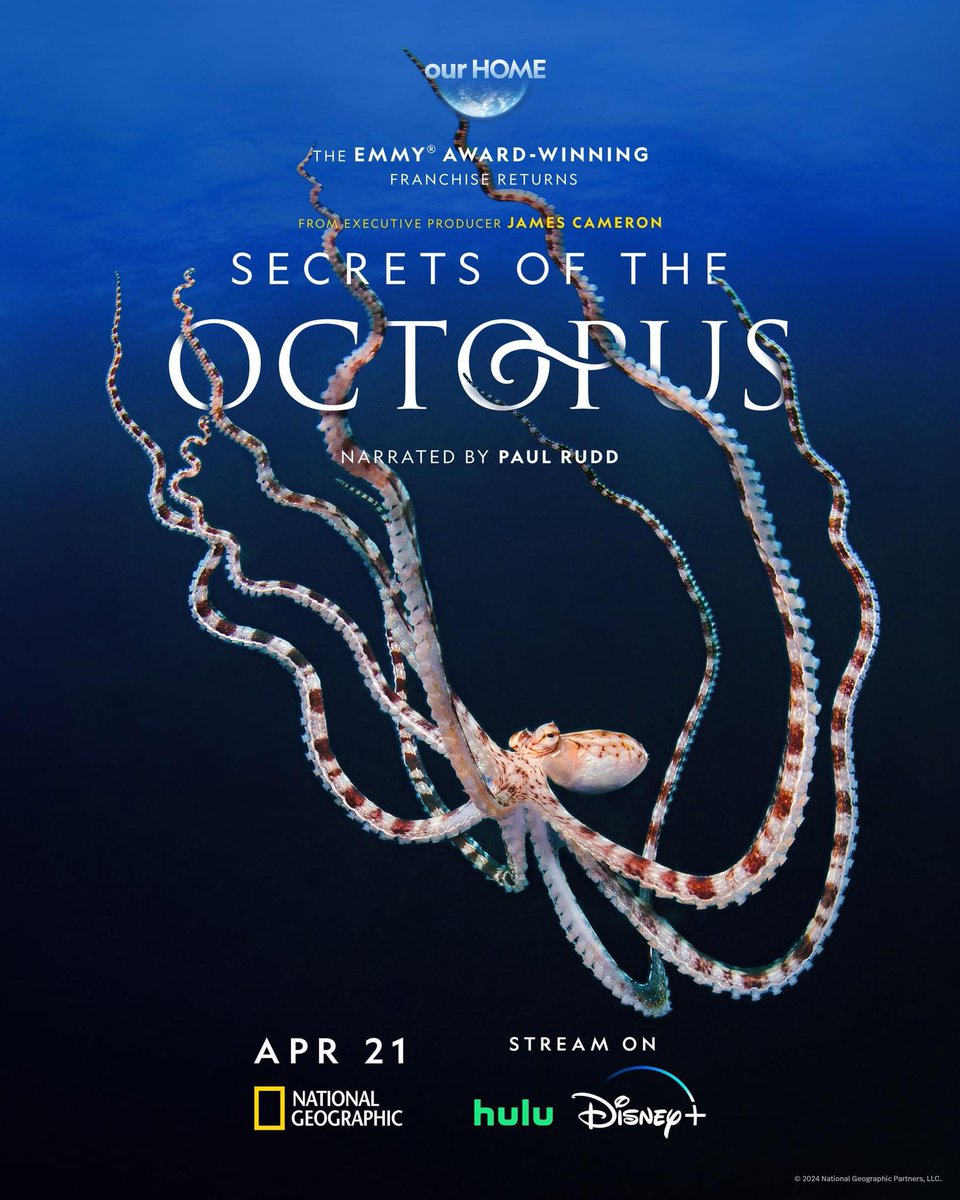 🐙#SecretsOfTheOctopus produced by James Cameron premiers Sunday April 21 on National Geographic & DisneyPlus It promises to be emotional, extraordinary & truly inspiring  And to think
@PescanovaCorp seek to confine them in tanks intensively farmed  #StopOctopusFarming
@ciwf