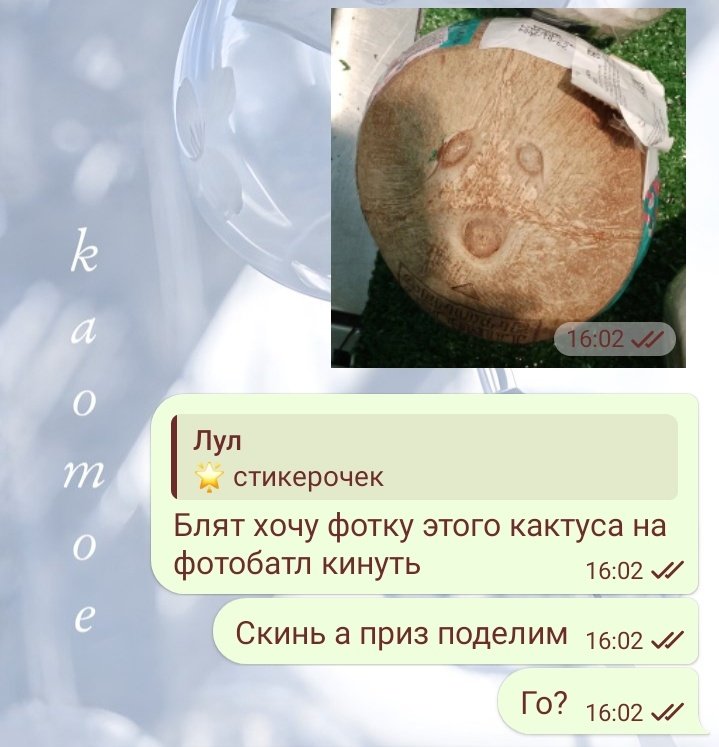 Biryabyu's tweet photo. Кактус https://t.co/i9YlDs48f2