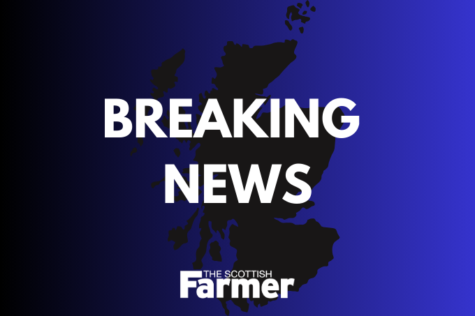 BREAKING NEWS | Scottish Government shifts stance, unveils new agricultural measures. 🌍🔄 thescottishfarmer.co.uk/news/24263207.…