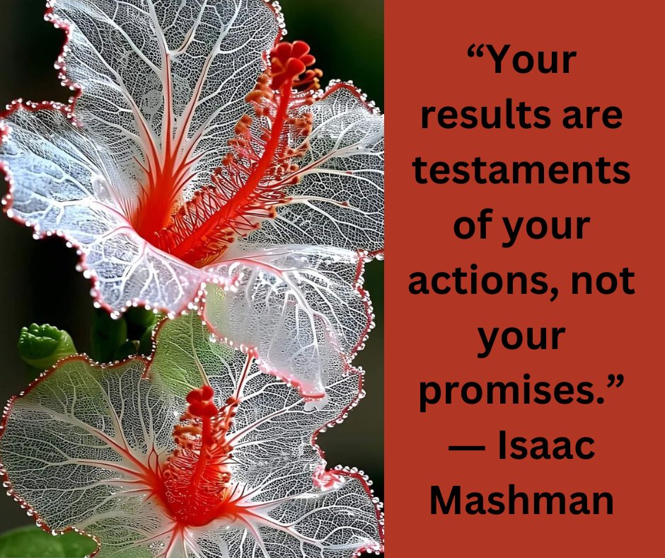 “Your results are testaments of your actions, not your promises.”
― Isaac Mashman 
#action, #mindset, #newthought, #perspectives, #promises, #success, #successful, #testament, #thought