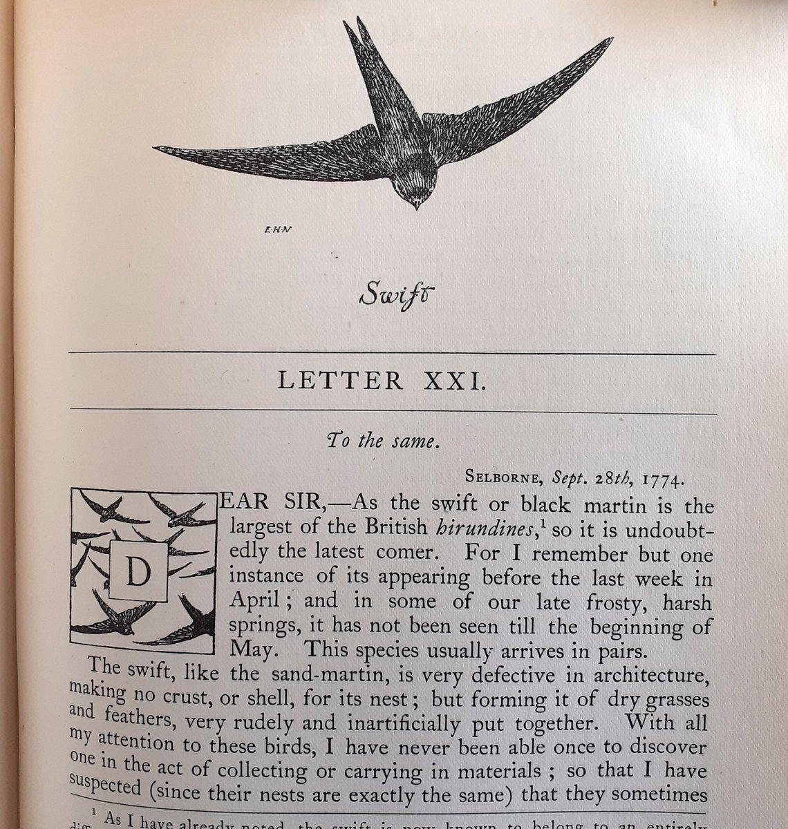 Still time to book for on-site talk at HRO about swifts
Hear about their preservation, descriptions by past writers & archive records of our environment
Tues 30 Apr 6pm. £7.50, booking req'd: bit.ly/4cDoEjo 

#hampshirearchives #Hampshirebirds #Hampshirenature #EYANature
