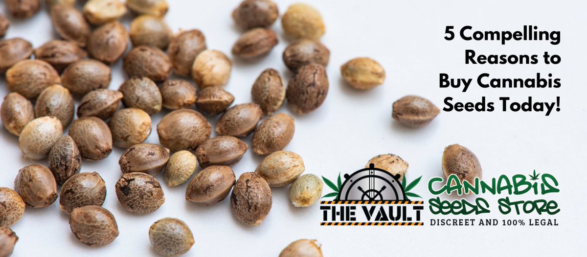 Why buy Cannabis Seeds? A simple question and here are 5 answers for you...! If you can think of more answers let us know in the comments! cannabis-seeds-store.co.uk/Cannabis-Seeds… #TeamVault