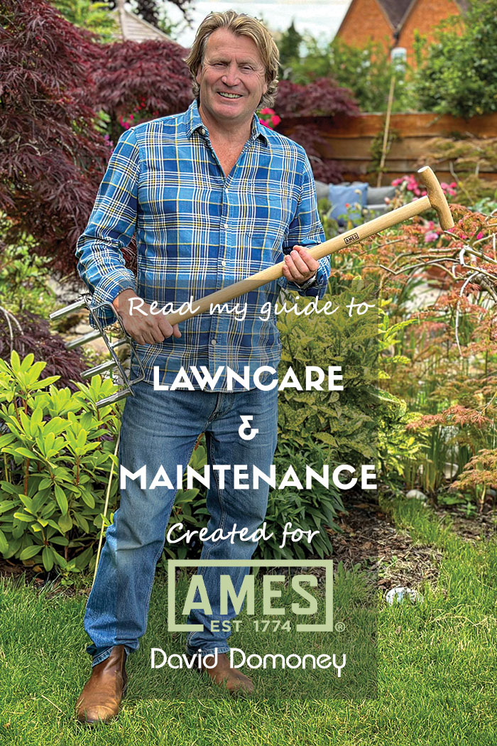 #ad Giving your lawn a little TLC in the early spring is a guaranteed way to help it thrive throughout the growing season and summer before it goes dormant, and growth slows in the autumn and winter. 👉 bit.ly/49qDGX2 #paidpartnership with #AMESTools