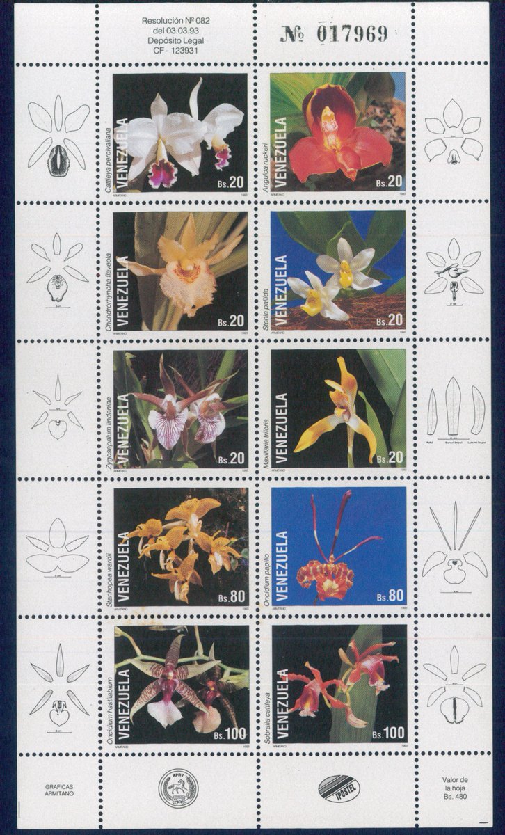 biogeofin's tweet photo. #Orchid #orquídeas #botany #biodiversity #collectibles #Stamps #phylately #biodiversidade https://t.co/I1HNNtbNPB