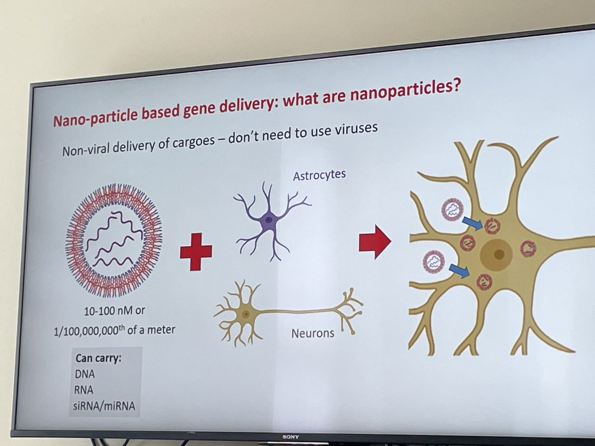 Bringing basic science to clinicians today: @AdrianDervan updates the @NRH_fdn #SCI team on the @TissueEngDublin @IRFUCharTrust project on a combinatorial approach to #SCIrepair - biomaterials, electroconduction, stem cells & gene delivery @scienceirel @RCSI_PPI_Ignite