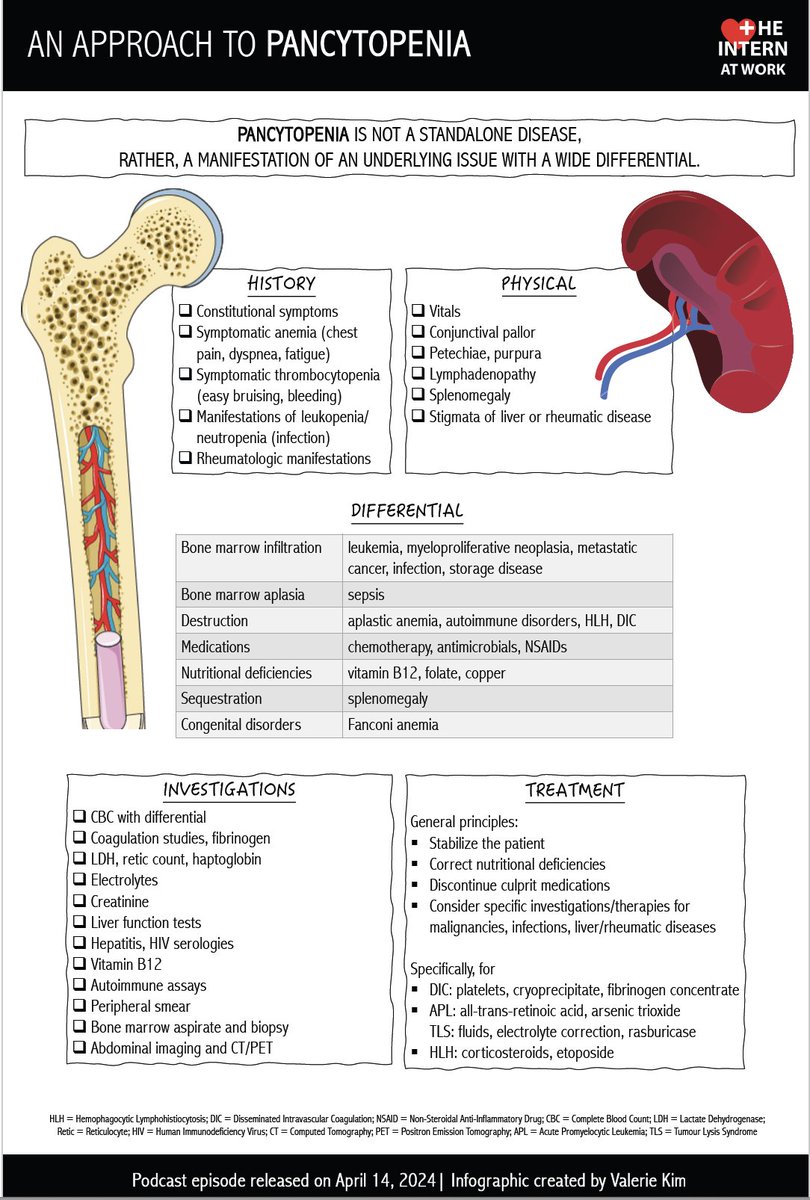 Drop everything (except your cell counts🩸) and listen to our episode on pancytopenia!🎙️ Written by Dr. Jia Li (Lily) Liu and Dr. @OwenLuo5 (IM Residents). Reviewed by Dr. Laura Habib (Heme/Onc) and Dr. @n_nathoo (IM). Infographic by Dr. Valerie Kim (IM Resident) @McGill_DOM