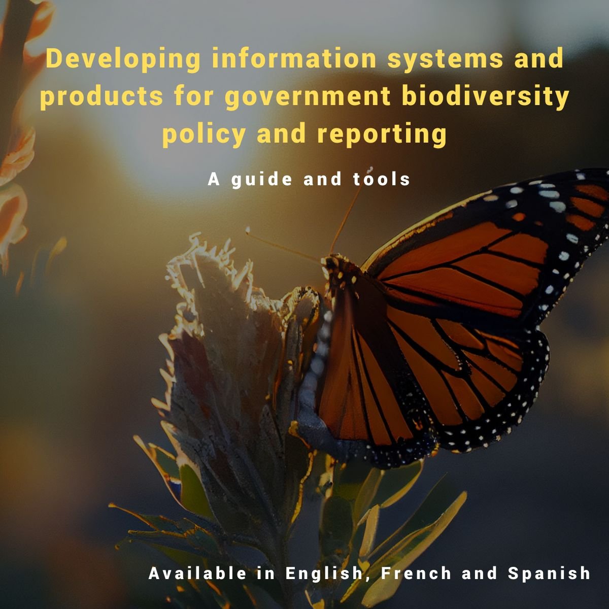 🎉UNEP-WCMC is pleased to share an information systems guide and tools to help governments have the indicators and analyses needed for biodiversity-related policy making and reporting: ➡️eu1.hubs.ly/H08ymBt0 ➡️eu1.hubs.ly/H08ymCp0 @unepwcmc