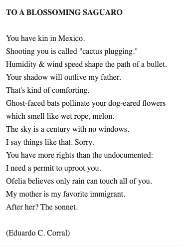 currently obsessed w this @EduardoCCorral sonnet via @robin_ep_myers's 'poem per diem' newsletter... 'I say things like that. Sorry.'