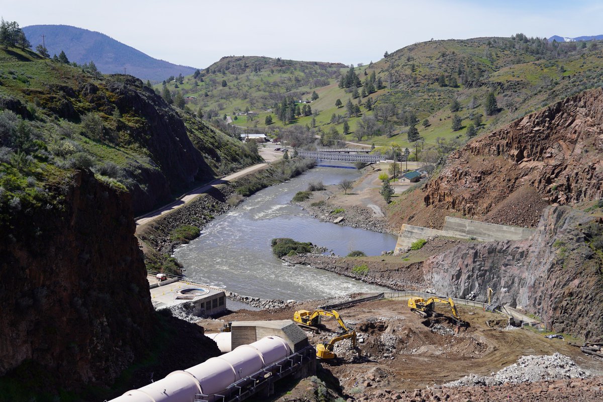 This week, tribal leaders from four Tribes & the California Dept of Fish & Wildlife celebrated the release of approx 100k yearling coho salmon & 400k Chinook smolts into great water conditions in the Klamath River below Iron Gate Dam. These fish will return to an undammed river.