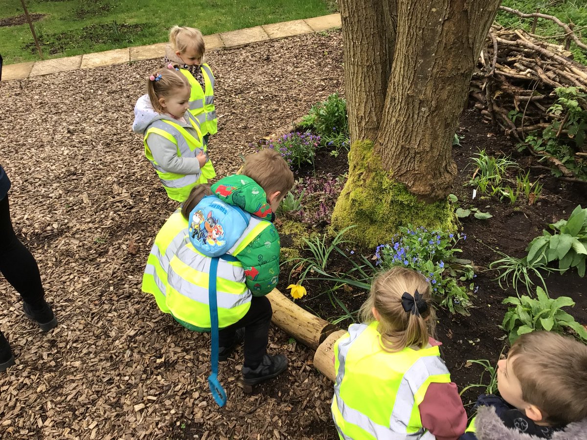 ElccForfar's tweet photo. We have enjoyed following the life cycle of a Butterfly.  The children had the opportunity to release these at our local community garden this week following them emerging from their chrysalis.  All ten of our caterpillars successfully hatched. https://t.co/6jxRCzT7EK
