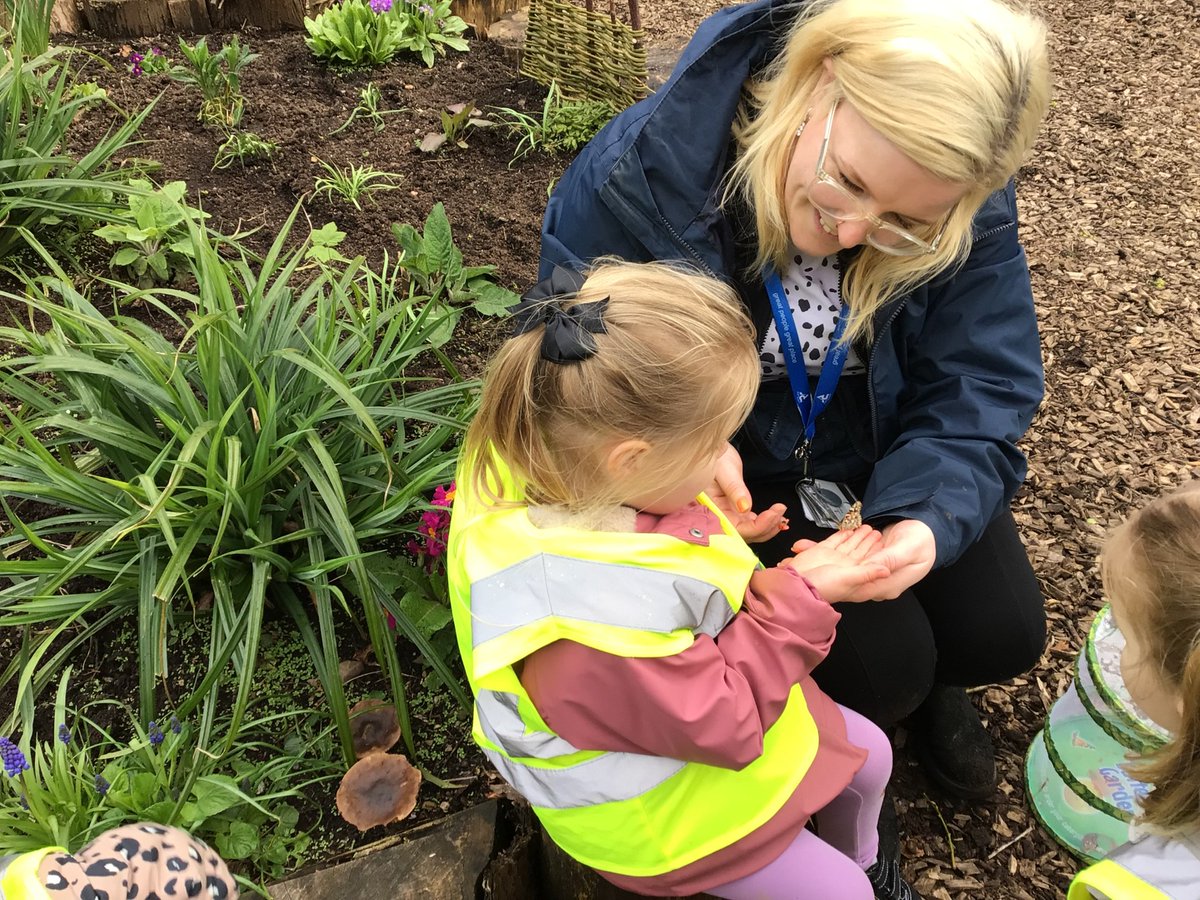 ElccForfar's tweet photo. We have enjoyed following the life cycle of a Butterfly.  The children had the opportunity to release these at our local community garden this week following them emerging from their chrysalis.  All ten of our caterpillars successfully hatched. https://t.co/6jxRCzT7EK