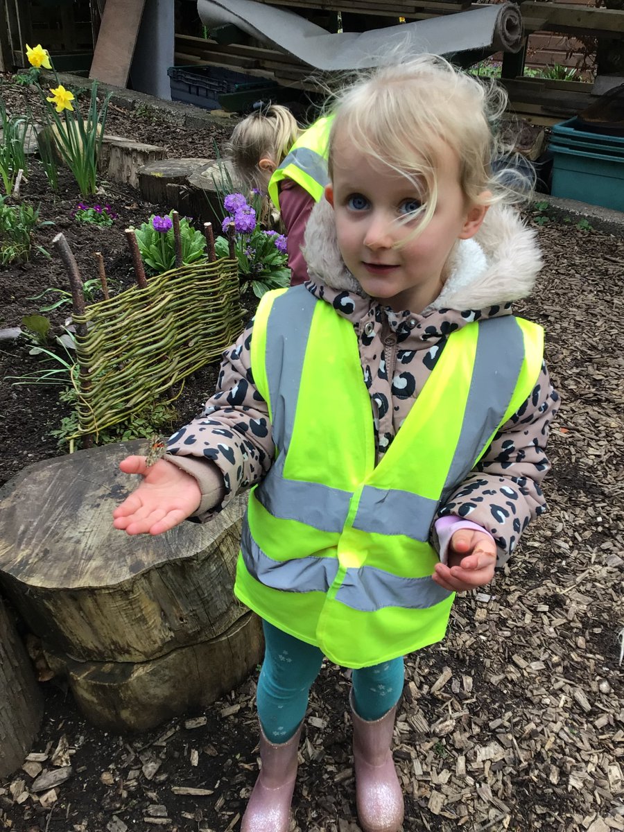 ElccForfar's tweet photo. We have enjoyed following the life cycle of a Butterfly.  The children had the opportunity to release these at our local community garden this week following them emerging from their chrysalis.  All ten of our caterpillars successfully hatched. https://t.co/6jxRCzT7EK