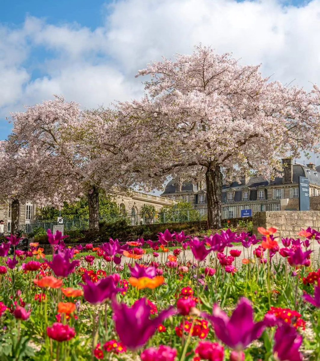 Quand le printemps met de la couleur
dans la ville de Vannes 🌸🌷

📷 @myriambphotography sur insta

#morbihan #morbihantourisme #miamorbihan
#bretagne #bretagnetourisme #bretagnesud #weekend
#vacances #villefleurie #vannes