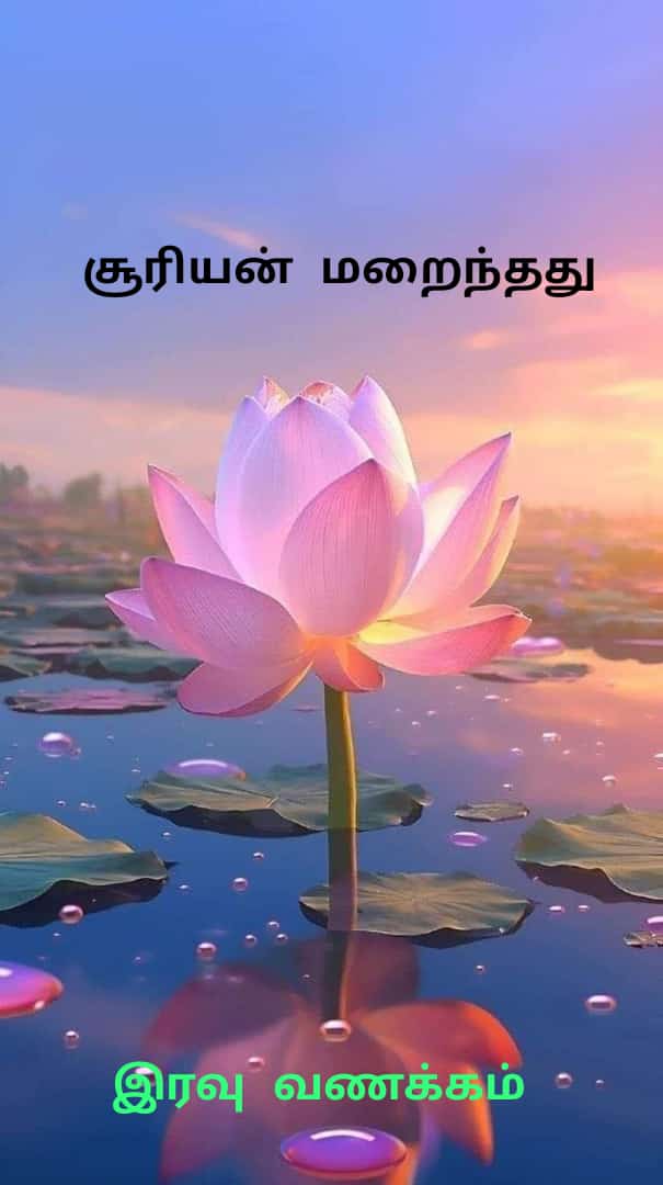 pattabim (@pattabim1977) on Twitter photo 