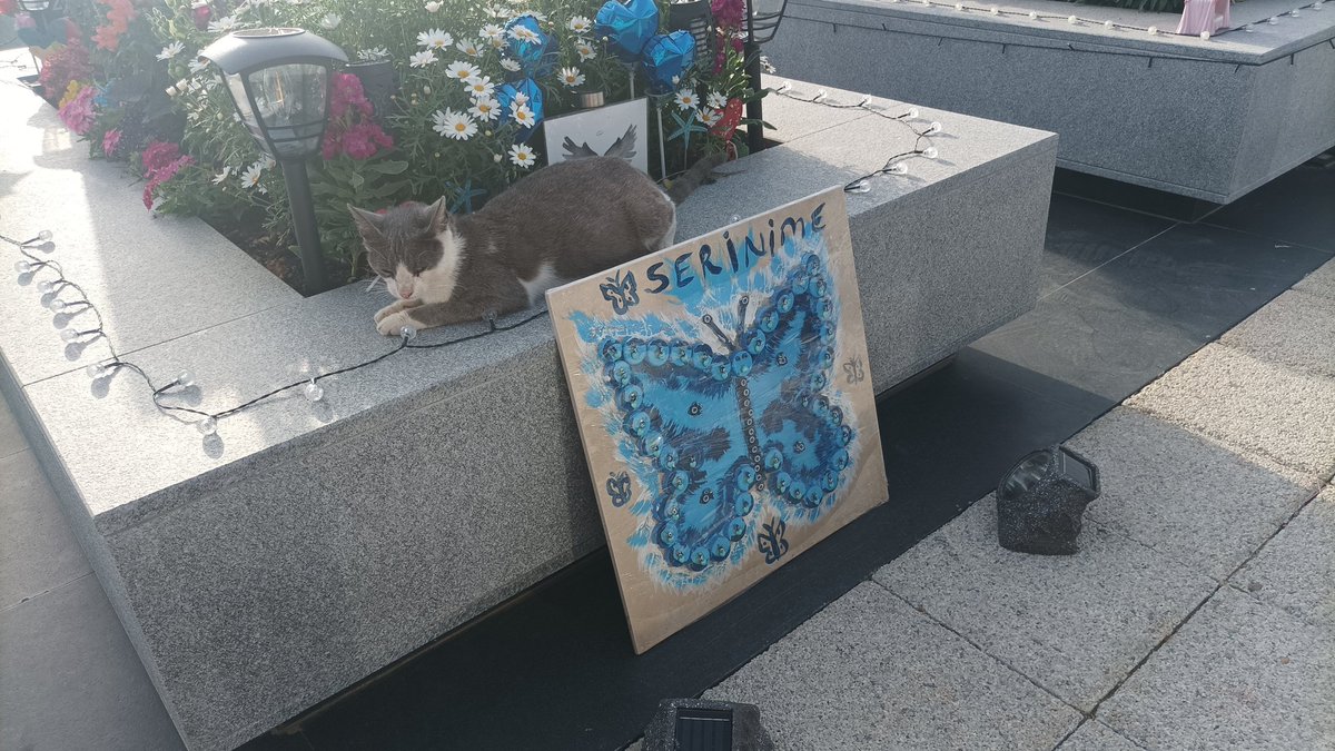 Serinciğim...teyzemmm....bu yokluğun bu anlamsızlığını bu çekilen acıların yaşanılan kabusun herşeyin bedeli agır olacak.Tek tek  hesap verecek bu soysuzlar teyzem #isiasortakdavamız