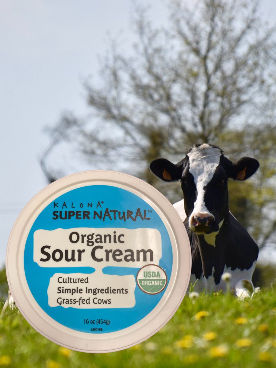 We have ORGANIC Sour Cream from grass-fed cows 🐮
Cultured w/Probiotics, from a small family farm, minimally processed & so so yummy 😋
#organicfood #grassfedcows