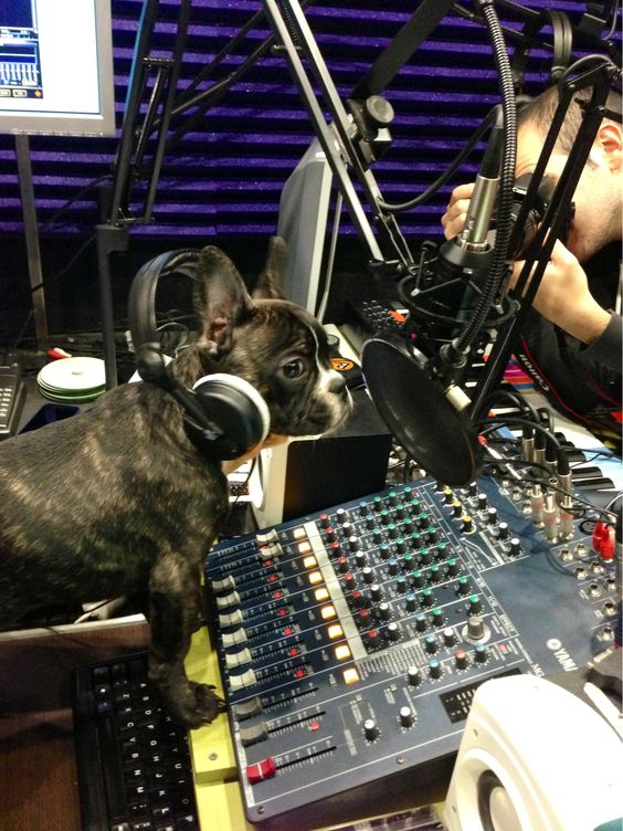 🎙️Feliz día del locutor a todos los que nos llenan los oídos de alegría cada día! 📻