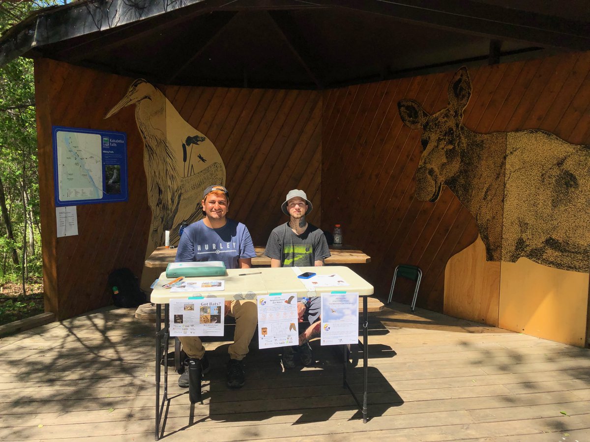 CSEE_SCEE's tweet photo. 🌟 Beyond research, I teach undergrad intro labs and love talking to everyone about bats &amp; our citizen science program @Bat_Watch. I also like to go hiking, camping, &amp; bird watching! https://t.co/35xA7UosHG