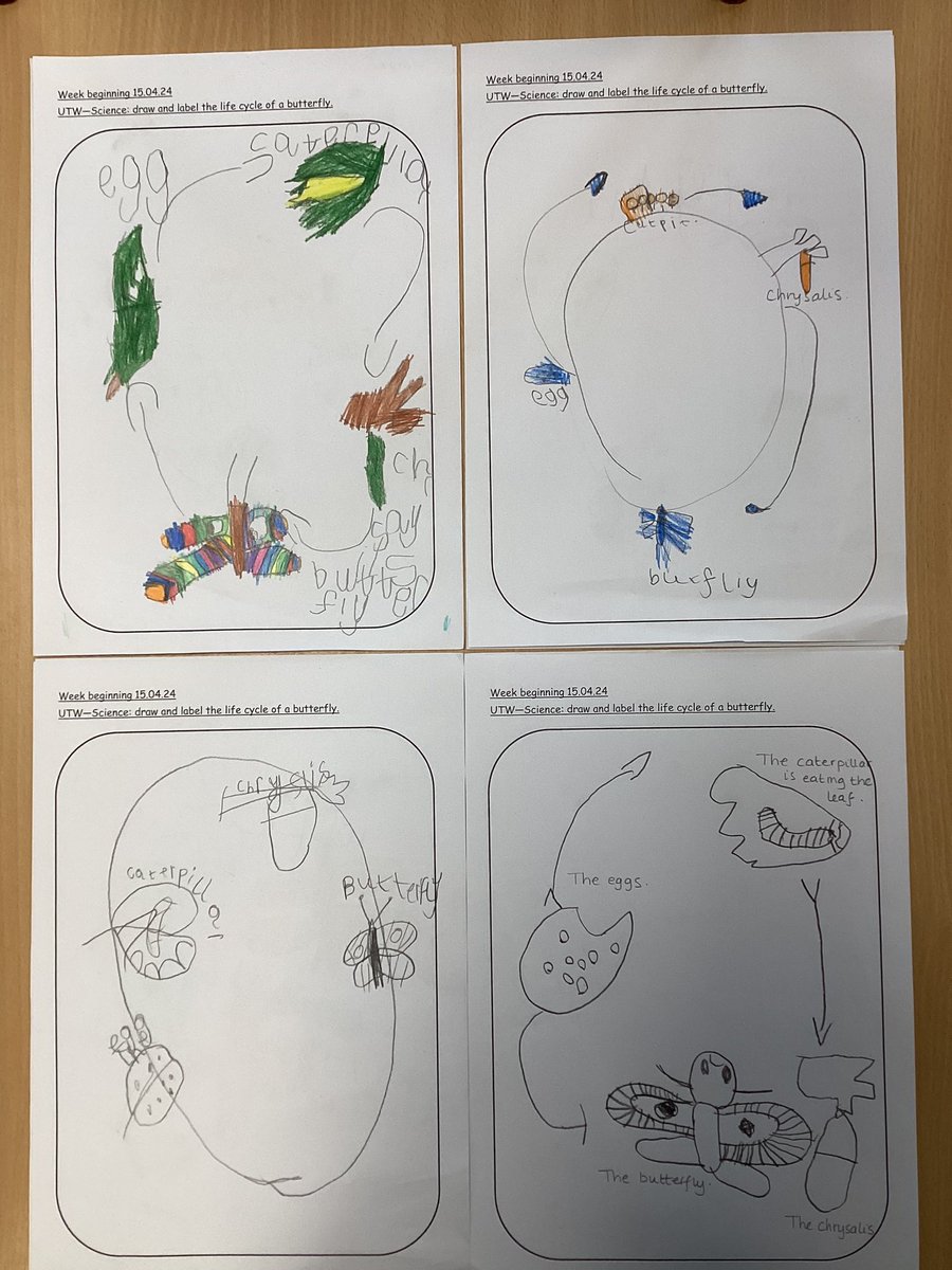 Mrs Harris's Class tweet media