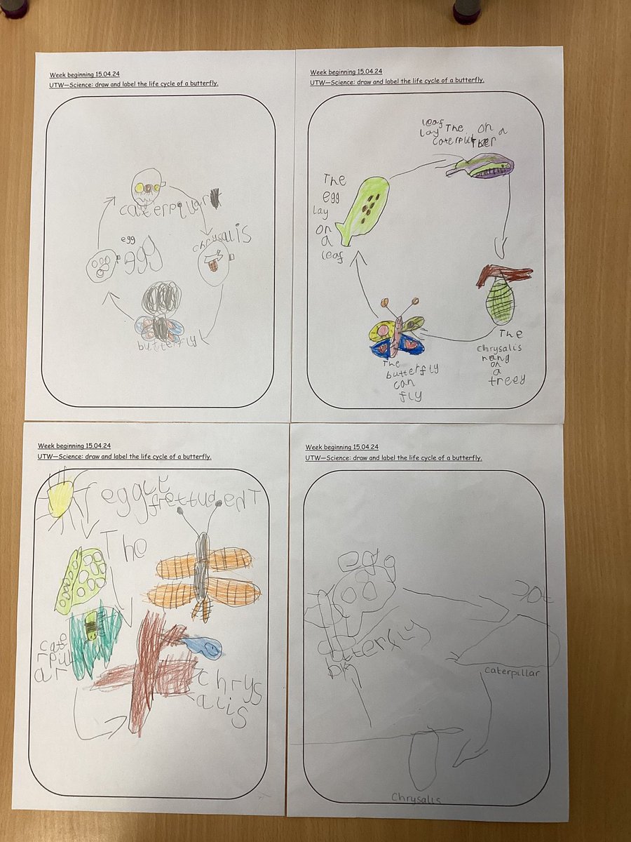 Mrs Harris's Class tweet media