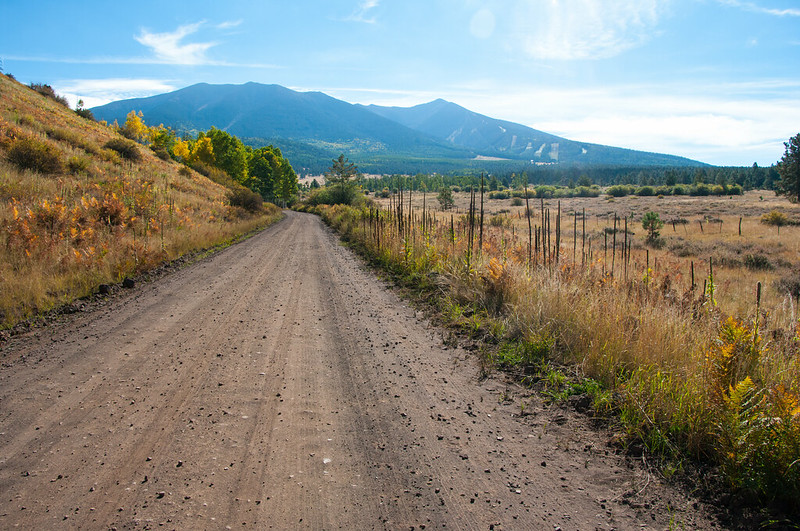 CoconinoNF tweet picture