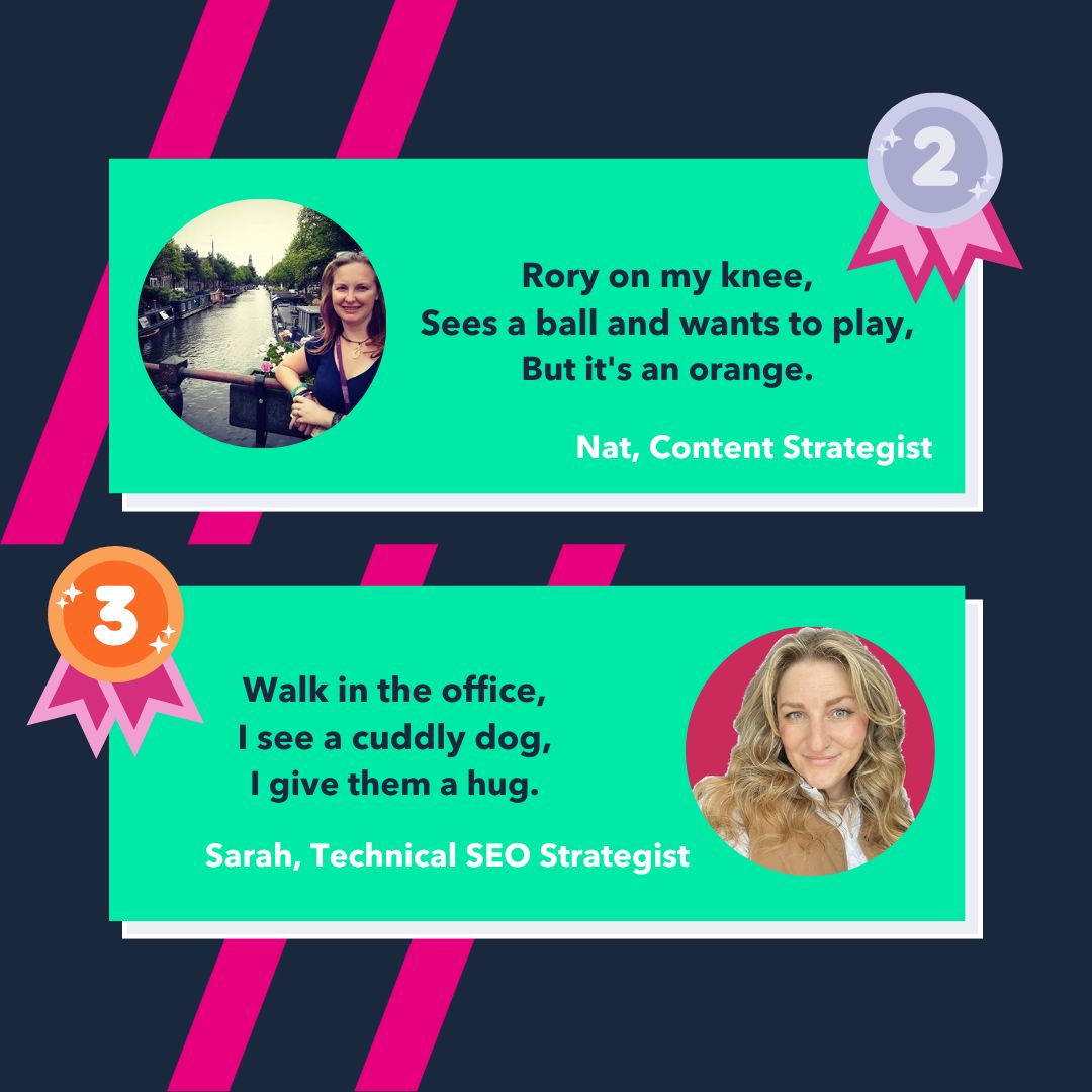 Salience Search Marketing tweet media