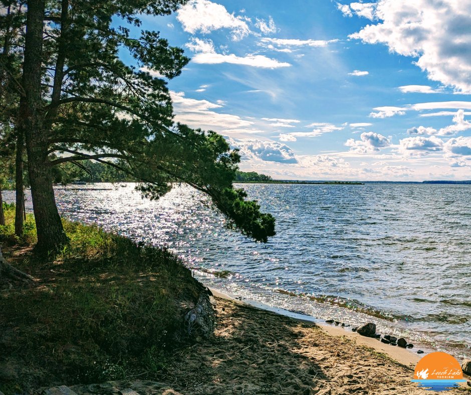 Experience the beauty of Northern MN without breaking the bank! 💸 With a wide range of affordable accommodation options and activities, it's the perfect destination for budget-conscious travelers.

leechlake.org/things-to-do/a… 

#leechlake #walkermn #onlyinmn #exploreminnesota