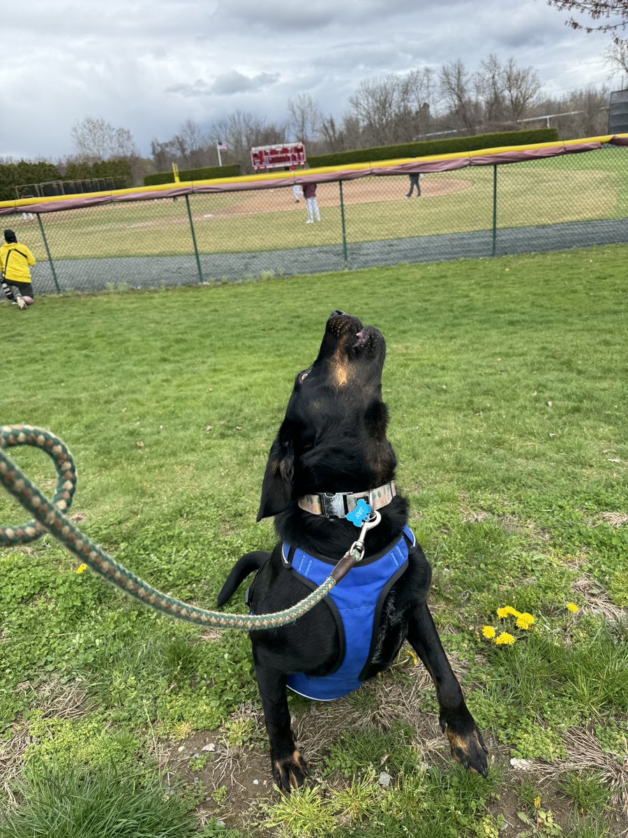 Liam Murphy tweet media