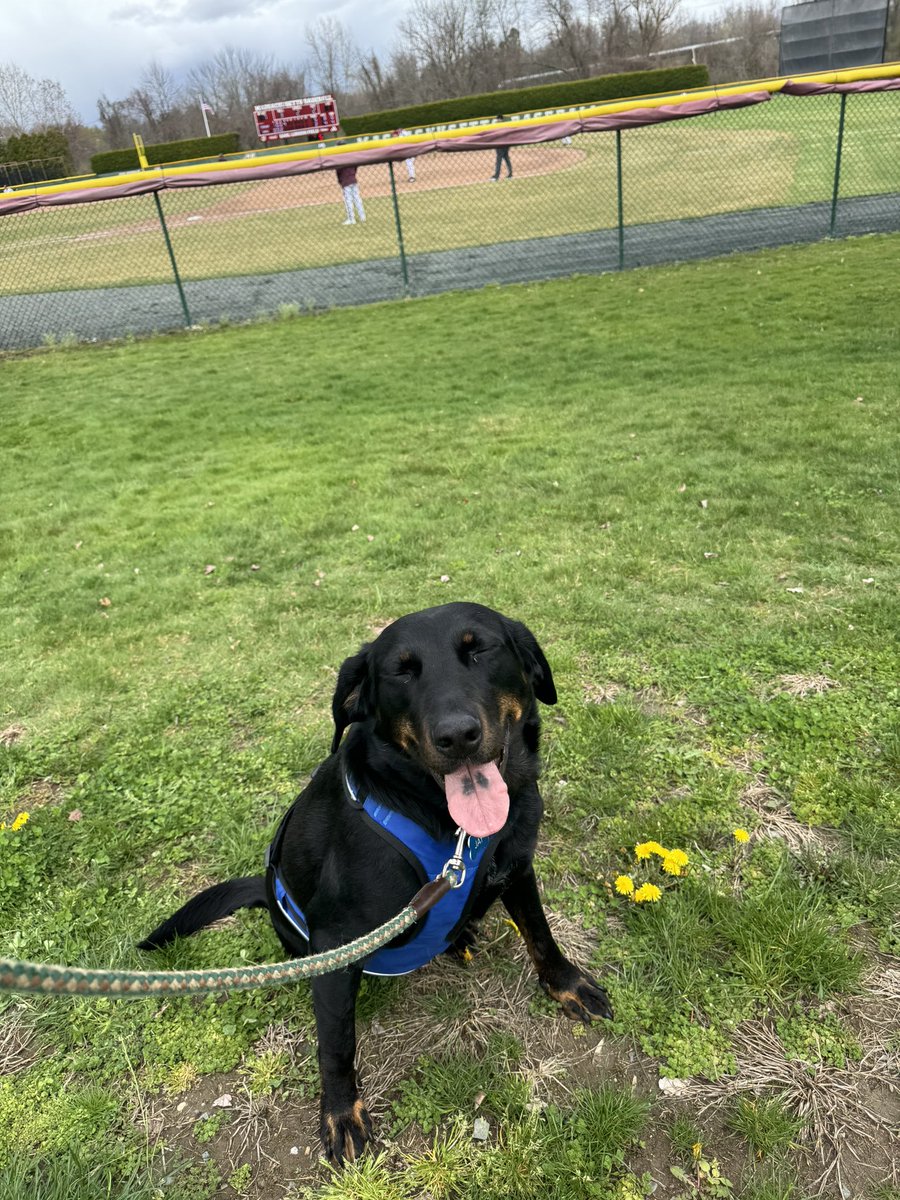 Liam Murphy tweet media