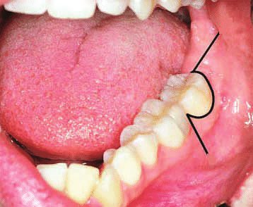 Abdulhamid tweet media