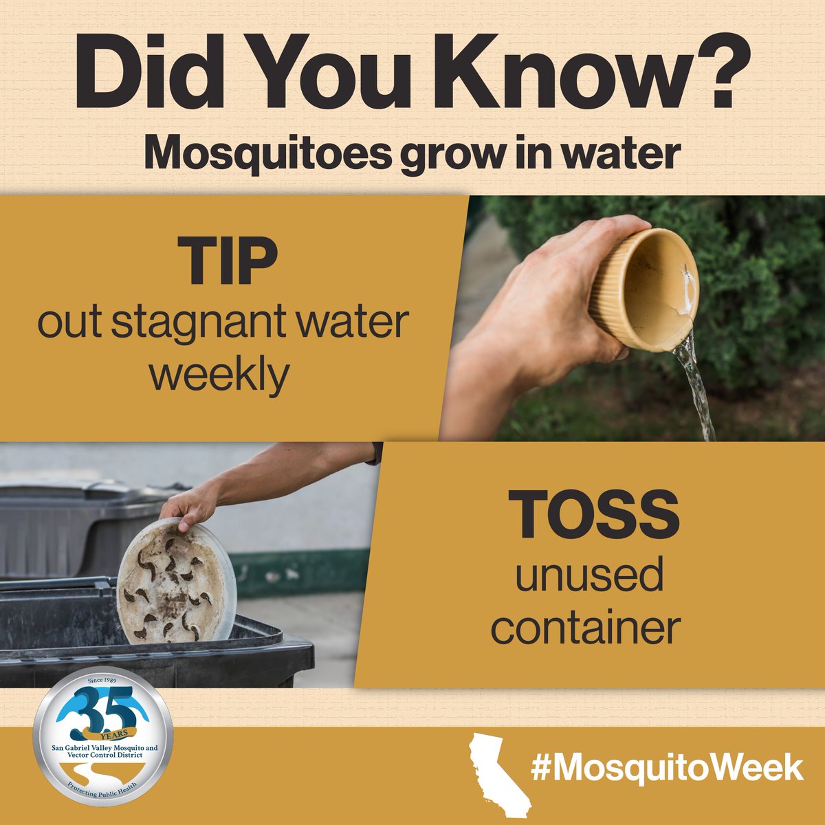 Stop mosquitoes at the source! Stagnant water is where mosquitoes grow. Take charge of your surroundings by tipping out stagnant water and tossing out the source. Together, let's #FightTheBite and keep our communities mosquito-free! #MosquitoWeek #SGVmosquito35th