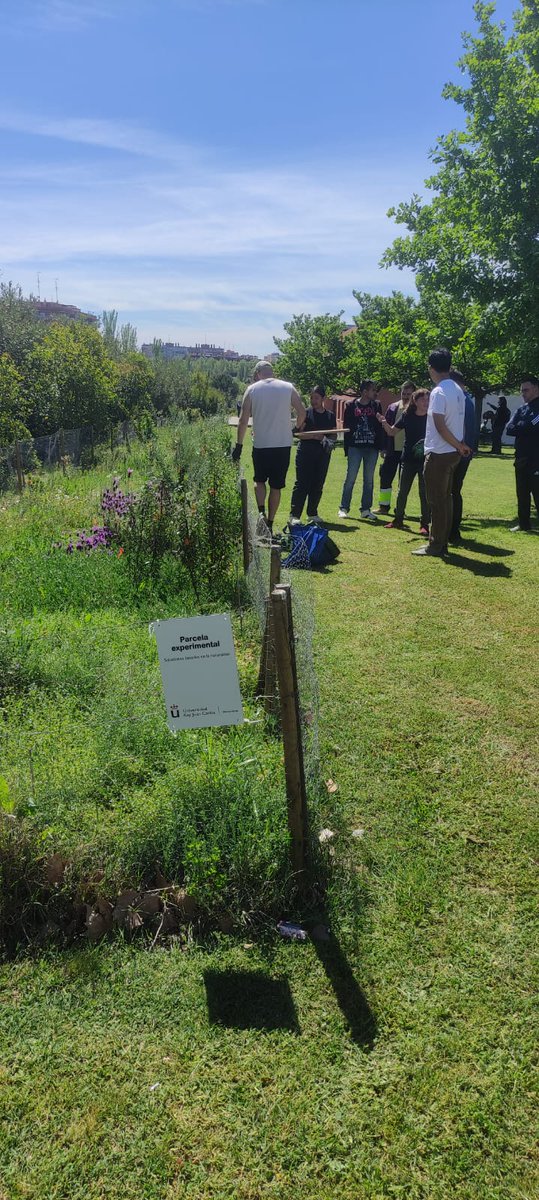 🪻🌼🌿Cuidando y disfrutando de nuestro Jardín Mediterráneo URJC🌿🌼🪻
¡¡Gracias a los equipos de Soluciones Verdes Urbanas, Centro de Rehabilitación Laboral y Ecotopia por ayudar a que esto sea posible!!