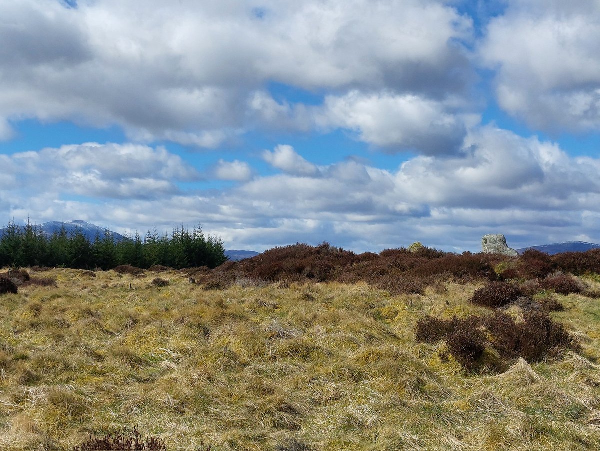 A walk to Na Clachan Aoraidh (the stones of worship) in #perthshire with a New Zealander visiting the land of their ancestors. Fairly typical four-poster, but great views. @megportal