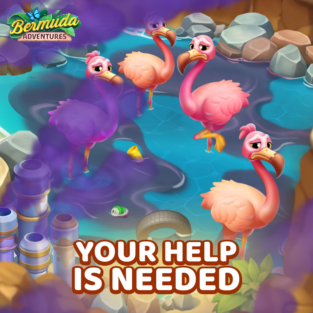 bermuda_game's tweet photo. 🦩Islanders, your help is needed! [https://t.co/CZcoA136ts]
🍃Today, in this special time-limited expedition, we're reminding you about the importance of nature and ecological problems that need to be discussed. Hurry up and join the adventure!⏰

#earth #nature #green #adventure https://t.co/cOZuYAAwgg