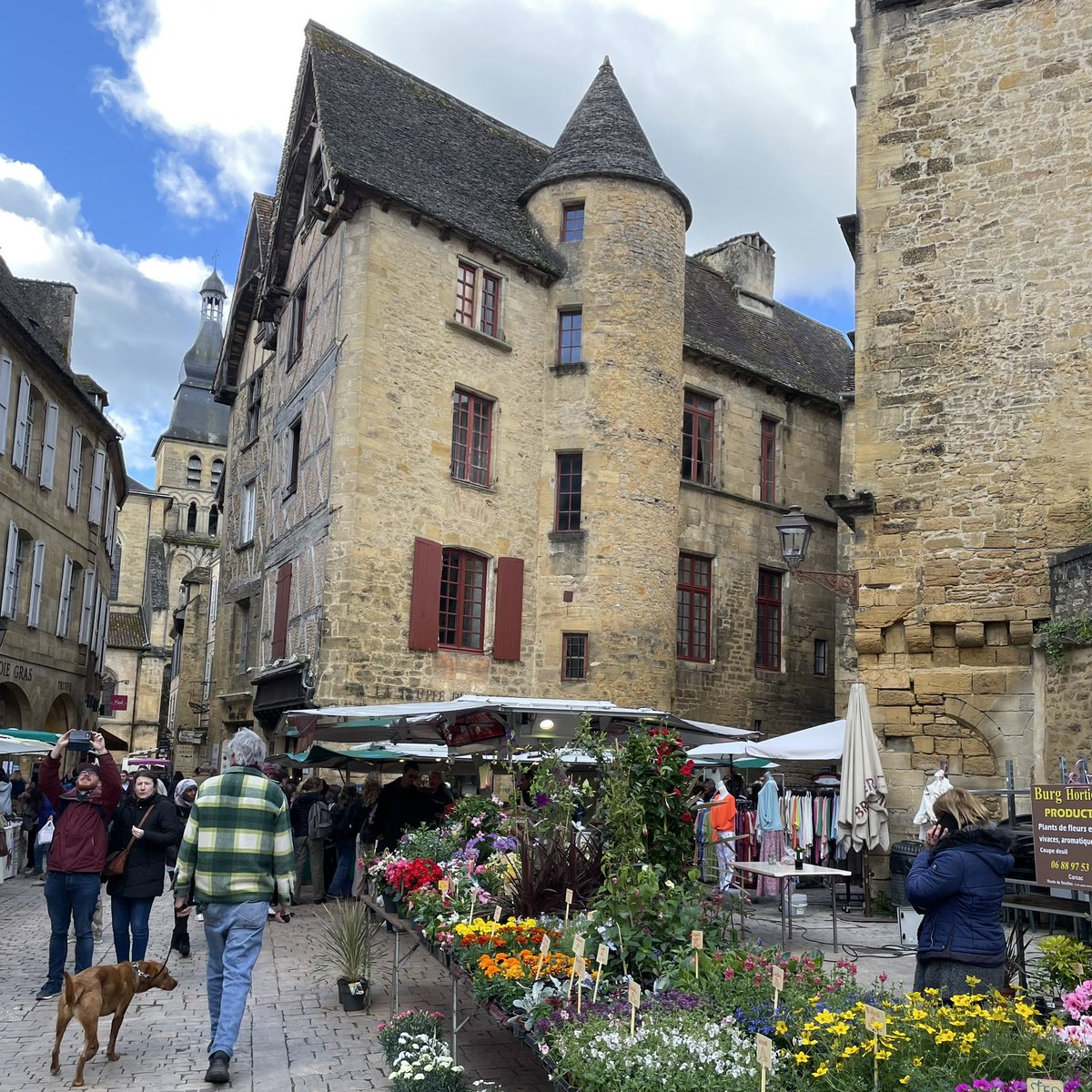 Greetings from the Dordogne! Have steamed through Sarlat, Domme and La Roque-Gageac, changing sun hat for raincoat about 200 times ⛱️☔️ #OurHoliday