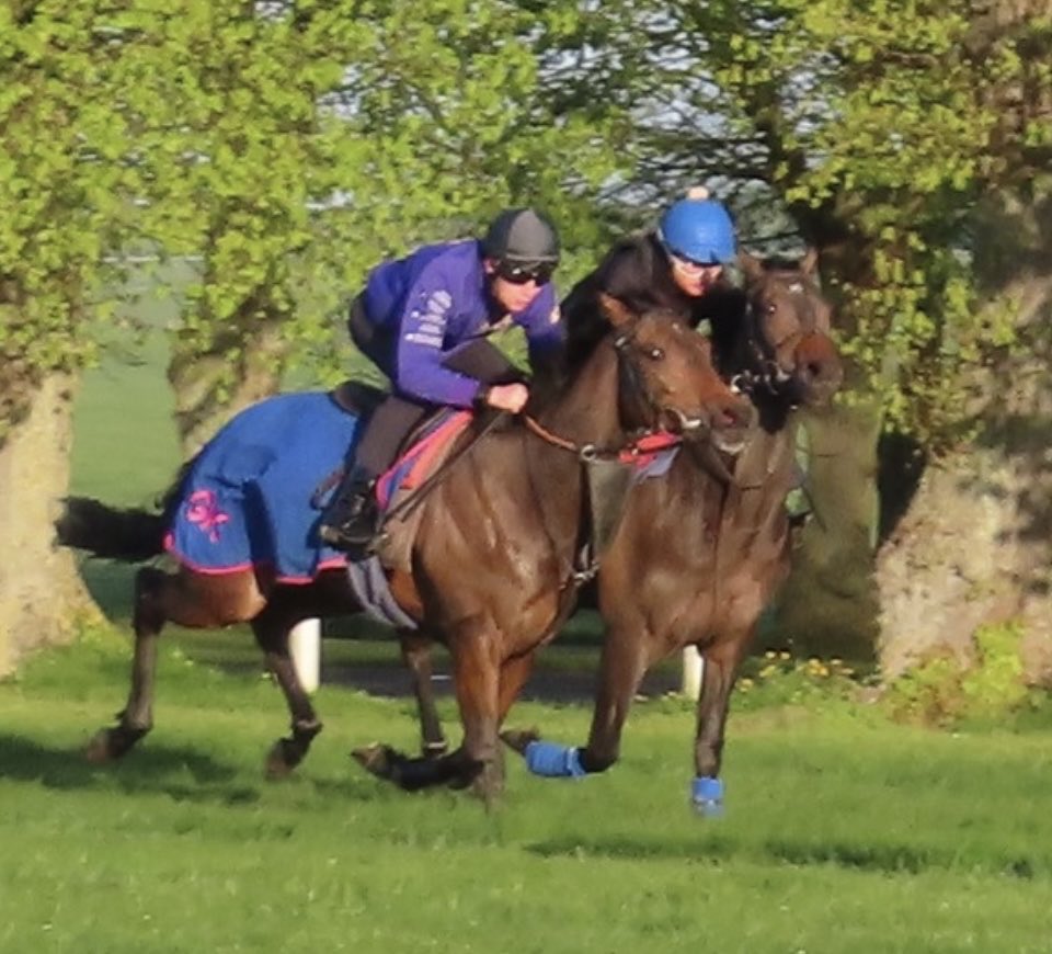 Luke Morris near side me far side “ love galloping horses Newmarket “ good 2 year old near side .. not telling !
