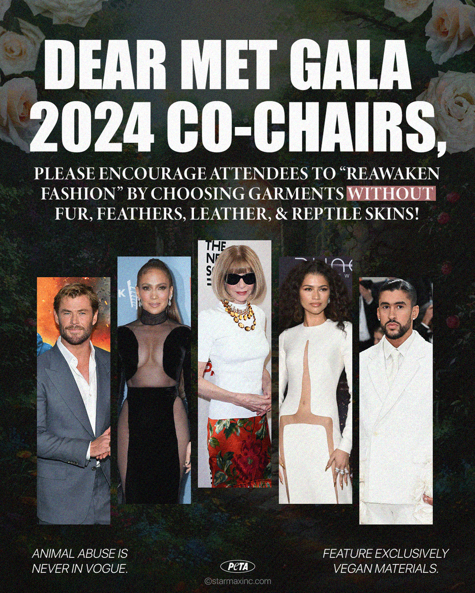 We wrote a letter to the #MetGala 2024 co-chairs @chrishemsworth @JLo @Zendaya @sanbenito & #AnnaWintour asking them to encourage attendees to wear vegan garments, sparing animals & our planet from harm✨