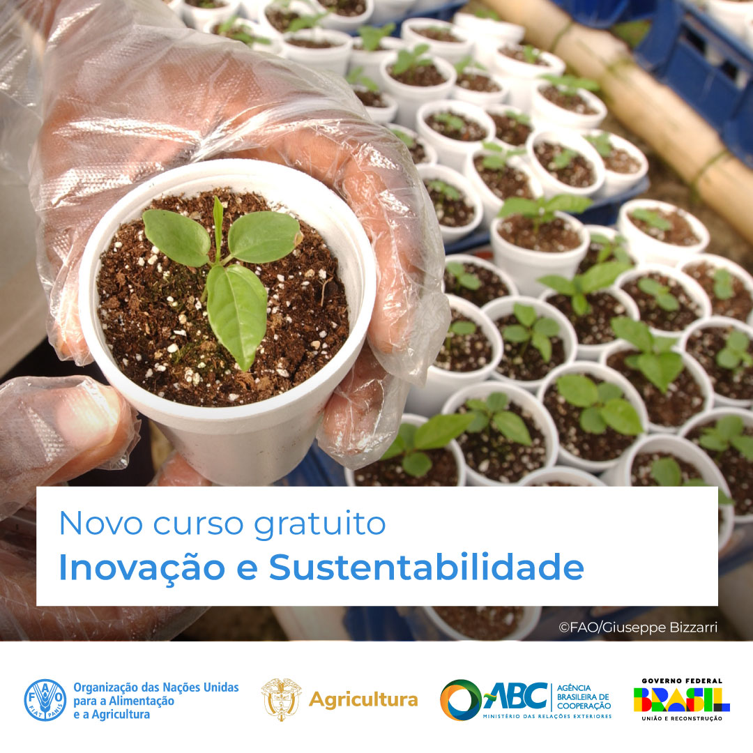 🎓 Curso GRATUITO de @FAOCampus! 🧩📲 Inovação e Sustentabilidade na Agricultura Familiar Experiências e soluções inovadoras para a sustentabilidade dos sistemas alimentares. Inscreva-se agora! ➡️ bit.ly/3I0kTnC Apoio @MinAgricultura @FAOBrasilCoop