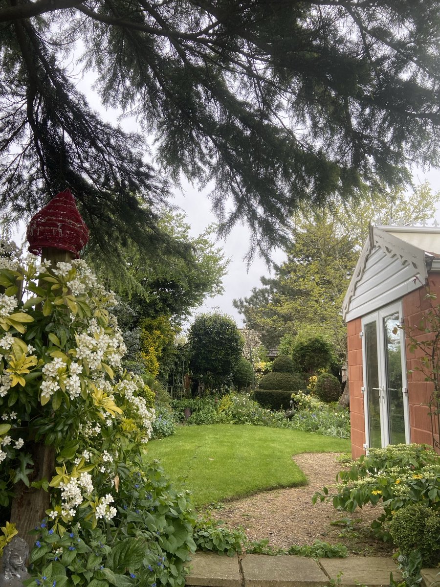 Brrrh, it’s still very cold in the garden. Lots to see though. #BackYardView #LoveNorfolk