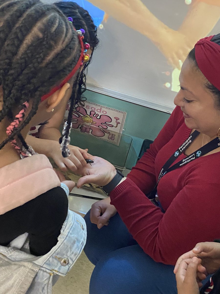 First grade is learning about BEETLES! Hands-on learning with critters! 🪲 #ReadySetGrow #HandsOnLearning