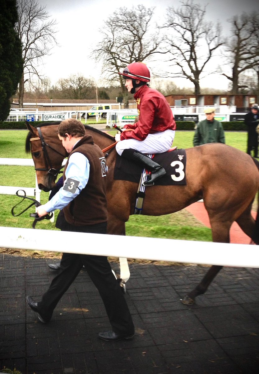 Congratulations <a href="/rhannonracing/">Richard Hannon</a> with Haatem <a href="/NewmarketRace/">Newmarket Racecourse</a> Craven Stakes. Pictured is his dam Hard Walnut breaking her maiden for us 3/2/12 <a href="/LingfieldPark/">Lingfield Park</a> giving Olly his first winner as a trainer <a href="/CharlockStud/">Charlock Stud-Graham&Carla</a> #toughasteak