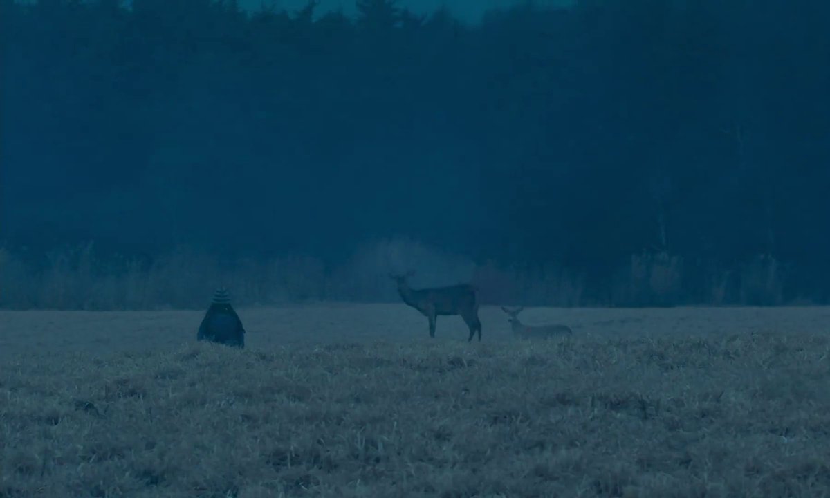 'water always flows down'

evil does not exist  悪は存在しない ,  (2023)
dir. by ryusuke hamaguchi