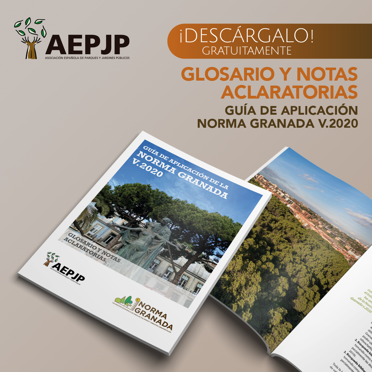 🆕 La #AEPJP incorpora al manual de la #NormaGranada 2020 un glosario y un libro de notas aclaratorias📗 El objetivo de esta guía complementaria es mejorar la aplicabilidad de este método de valoración del arbolado 🌳📊 Descarga gratuita a través de: aepjp.es/norma-granada/