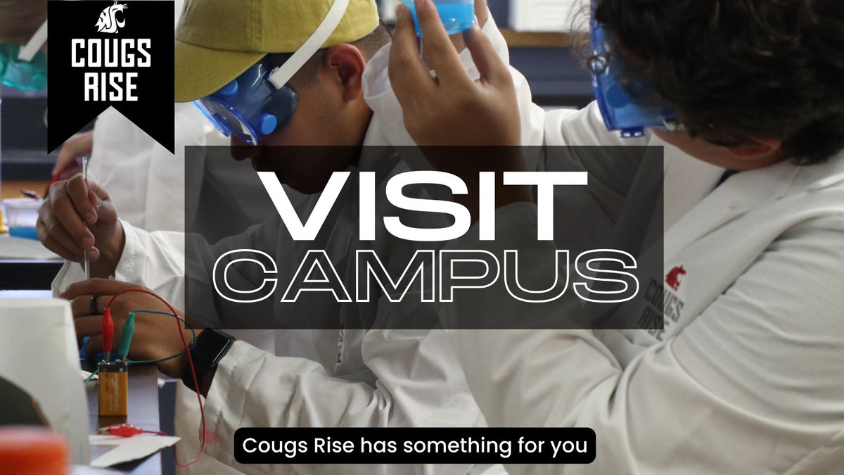 WSU College Access & Transition Programs tweet media