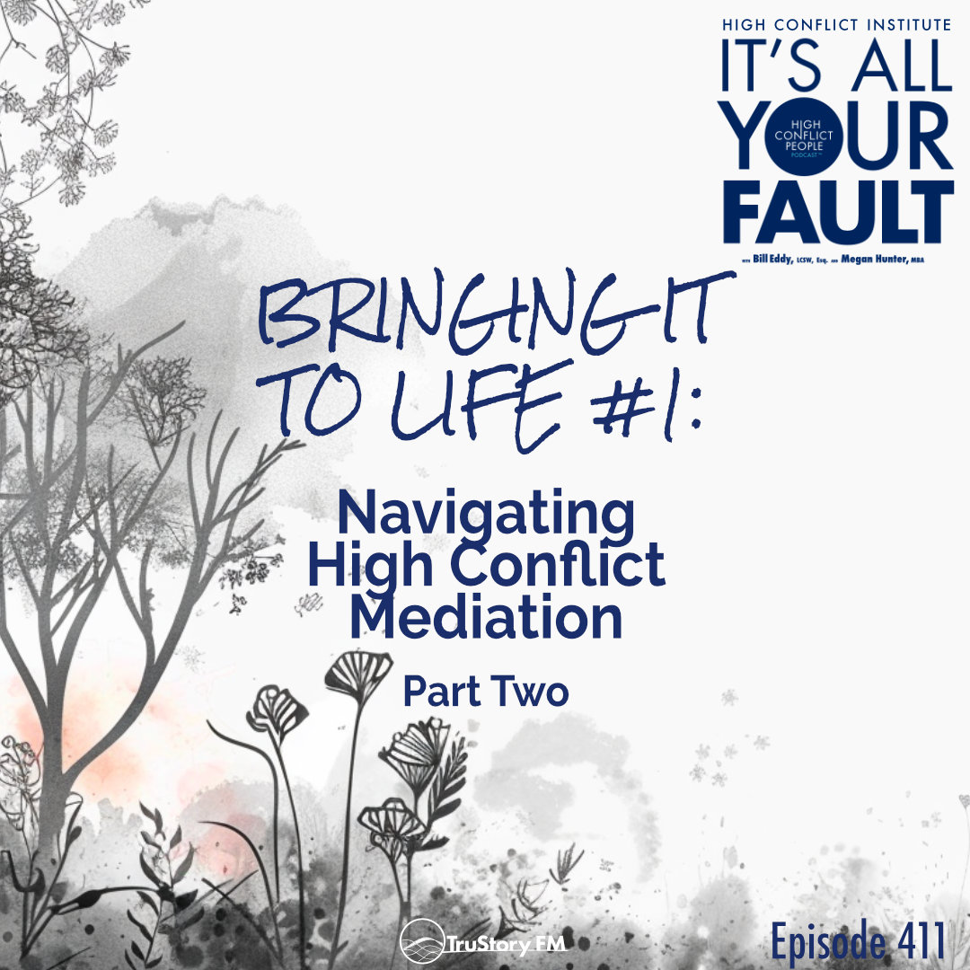 PART TWO: Dive into the complexities of managing high conflict personalities in family law and mediation with Bill, Megan, and special guest Elaine Richardson in this episode of It's All Your Fault.