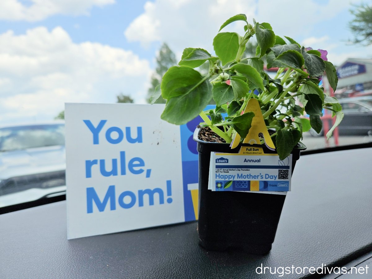 FREEBIE ALERT! Lowes is giving away FREE flowers on Mother's Day weekend. Log into your Lowes Rewards account. Choose to pick up your flower on May 11 or 12. You'll get a confirmation email to show at your location. Pick it up on your way to celebrate mom and look, easy gift.