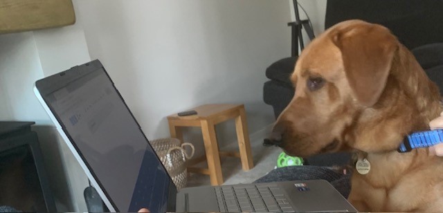 Rehab Without Walls tweet media